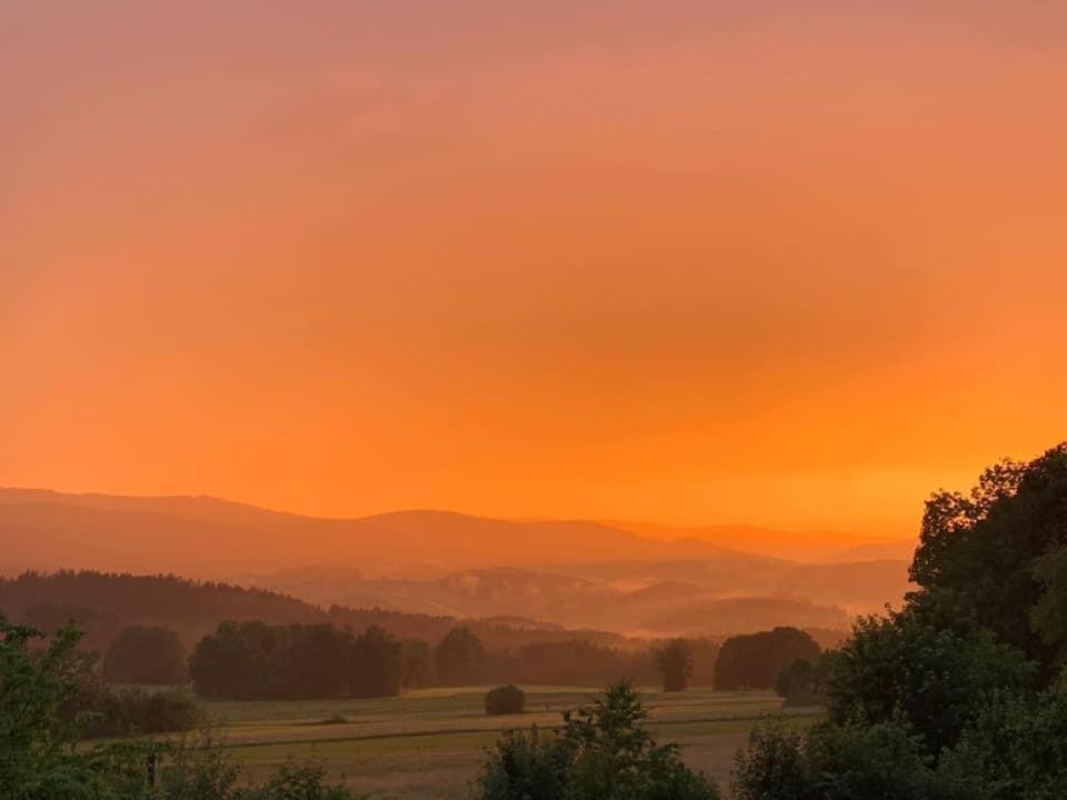Burggasthof Weissenstein 레겐 외부 사진